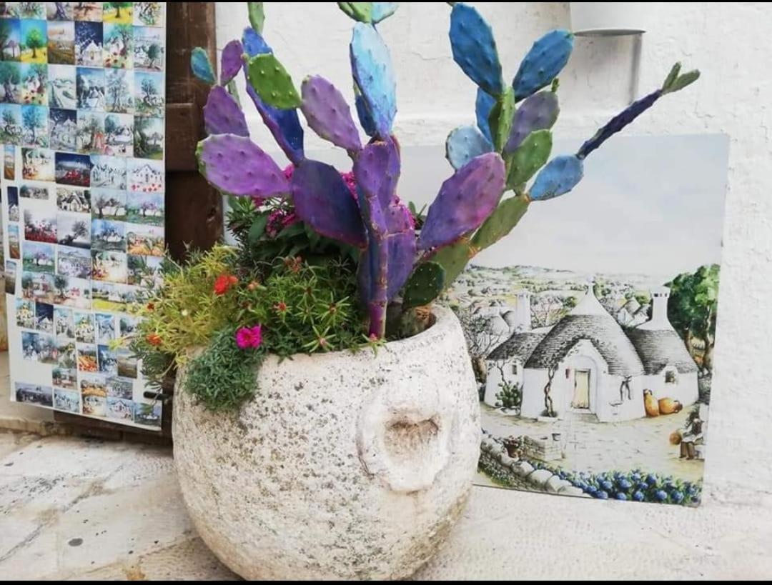 Casa Monna B&B Locorotondo Exterior foto
